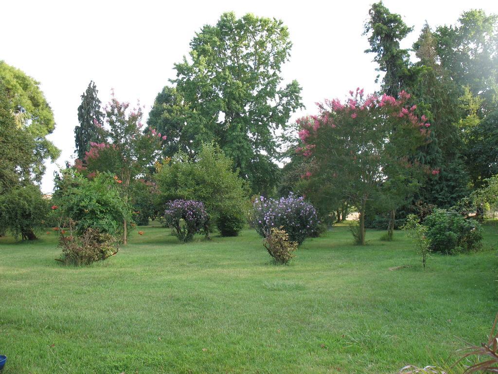 Gite Le Chardon Fleuri Vila Teuillac Quarto foto