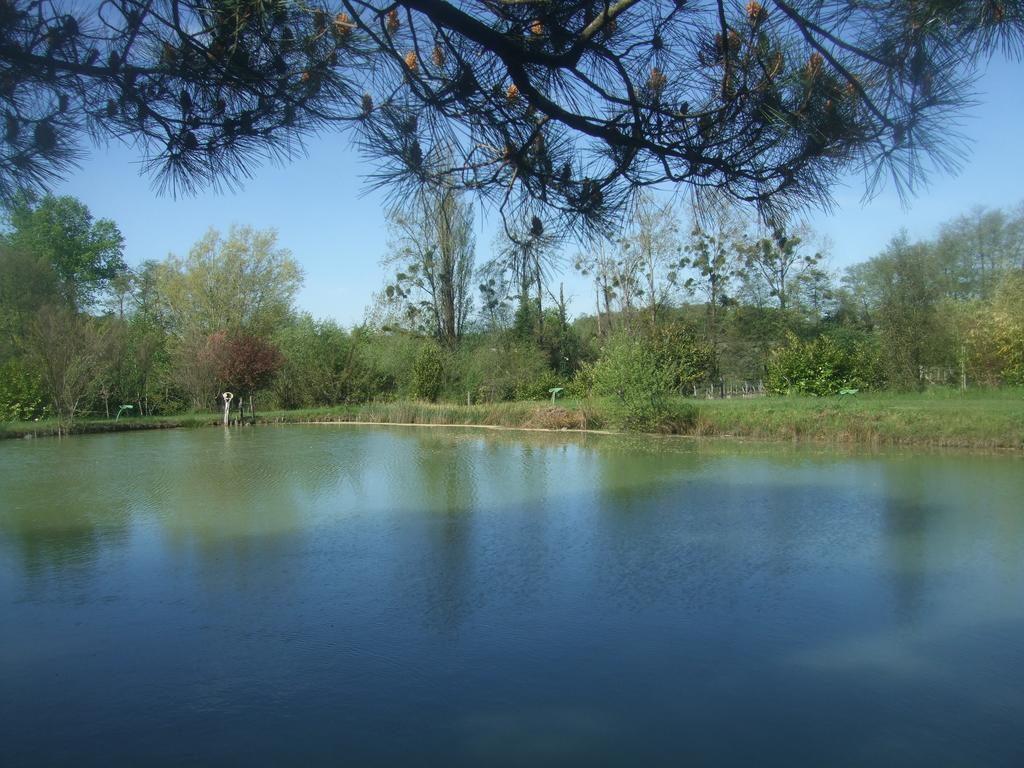 Gite Le Chardon Fleuri Vila Teuillac Exterior foto